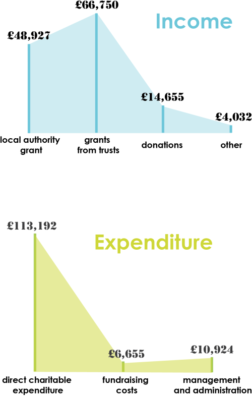 1st graph layout for income and expenditure