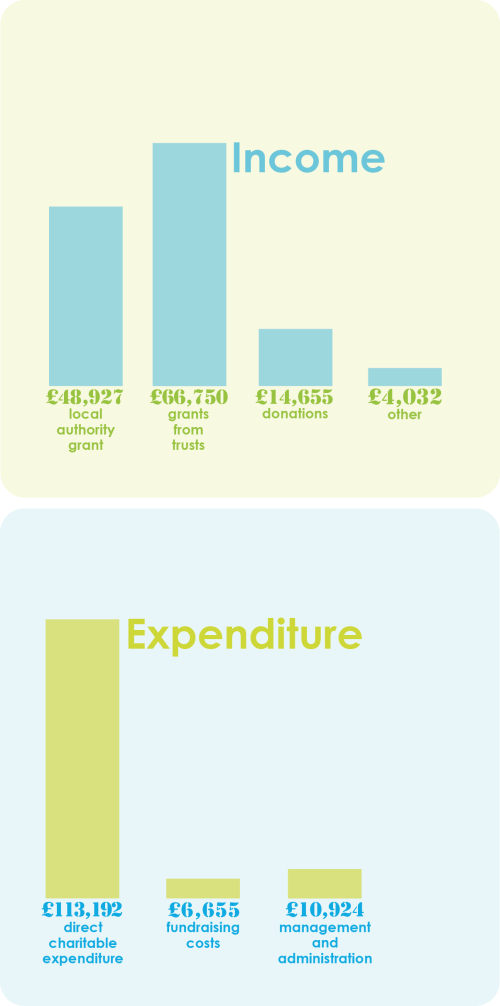2nd graphic layout for income and expenditure